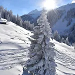 Relaxalp Garfrescha