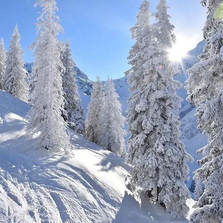 Relaxalp Garfrescha Semesterbostad Sankt Gallenkirch